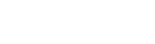 logoWEB